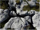 Rifugio Pederü - Sasso delle Dieci / Zehnerspitze